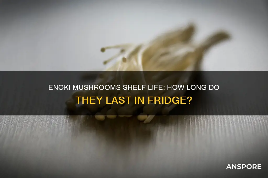 how long does enoki mushroom last in fridge