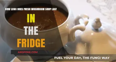 Fresh Mushroom Soup Shelf Life: Fridge Storage Tips and Duration