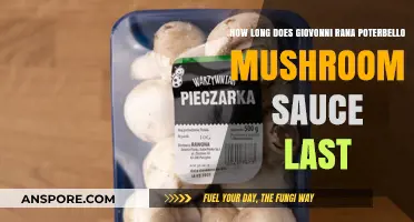 Giovonni Rana Portobello Mushroom Sauce Shelf Life Explained
