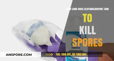 Glutaraldehyde's Sporicidal Action: Understanding Time to Kill Spores Effectively
