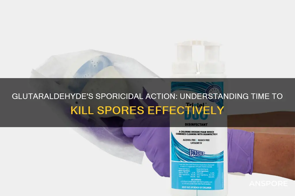 how long does glutaraldehyde take to kill spores