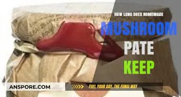 Homemade Mushroom Pate Storage: Shelf Life and Freshness Tips