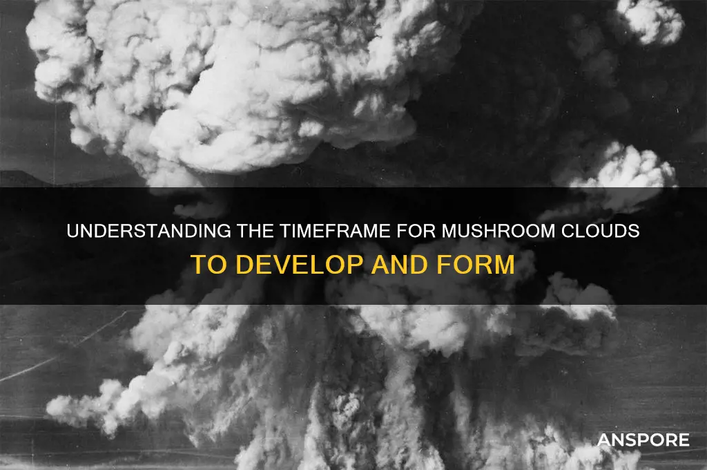 how long does it take a mushroom clowd to form