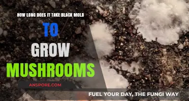 Black Mold to Mushrooms: Understanding Growth Timeline and Factors