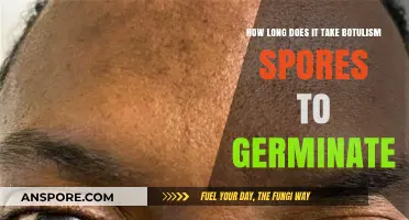 Understanding Botulism Spores: Germination Timeline and Factors Explained