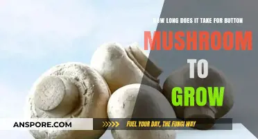 Button Mushroom Growth Timeline: From Spawn to Harvest Explained