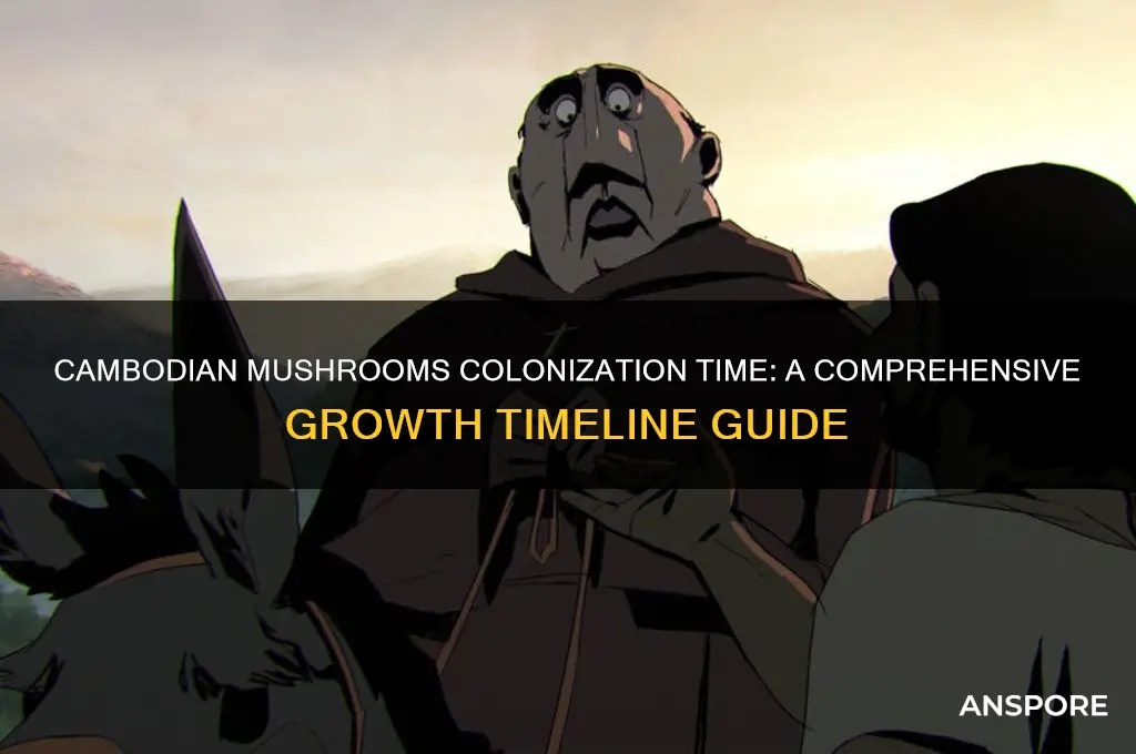 how long does it take for cambodian mushrooms to collinixe