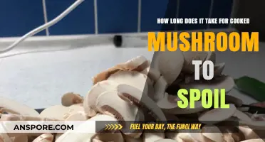 Cooked Mushrooms Shelf Life: How Long Before They Spoil?