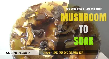 Reviving Dried Mushrooms: Optimal Soaking Time for Perfect Texture