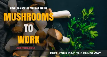 Genius Mushrooms: Understanding Their Effects and Timelines for Results