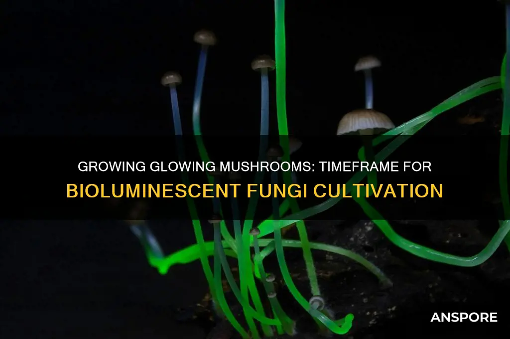 how long does it take for glowing mushrooms to grow