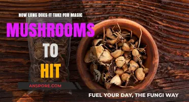 Magic Mushrooms: Understanding the Onset Time for Psychedelic Effects