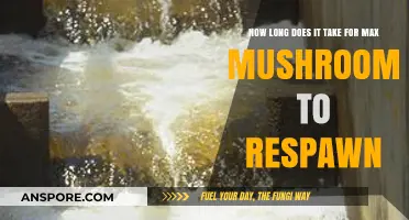 Max Mushroom Respawn Time: How Long Until Your Next Harvest?