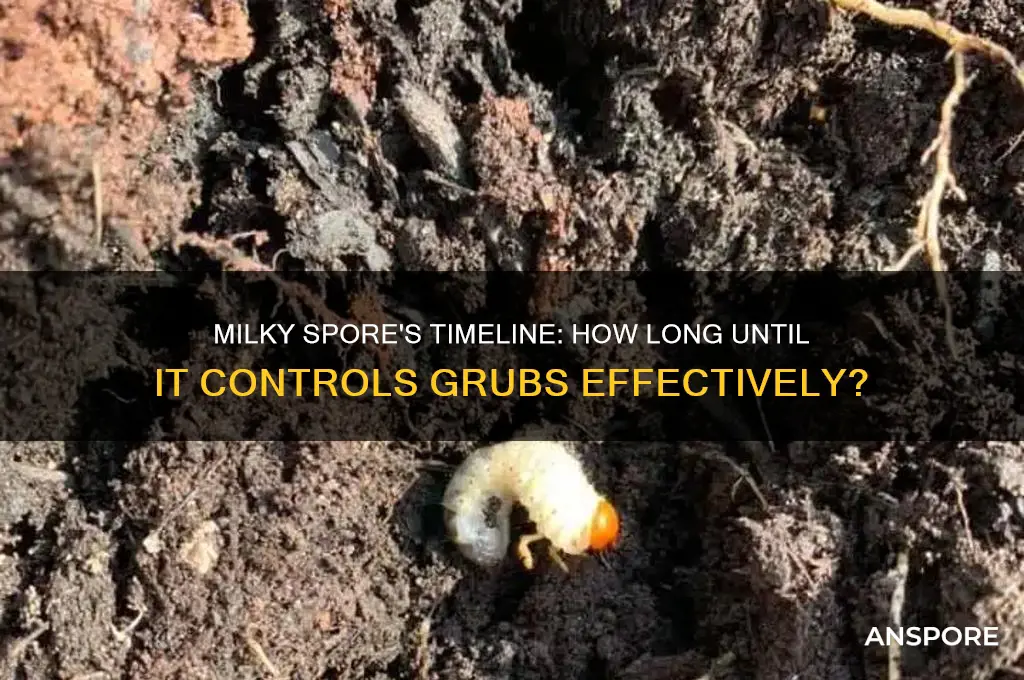 how long does it take for milky spore to work
