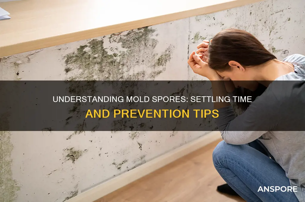 how long does it take for mold spores to settle