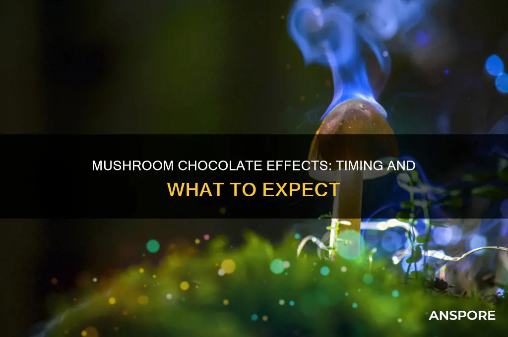 how long does it take for mushroom chocolate to work