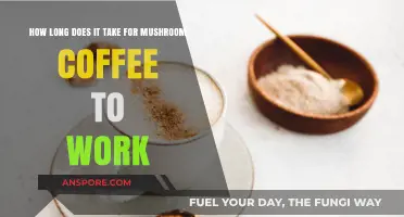 Mushroom Coffee Effects: Timing and Benefits Explained for Optimal Results