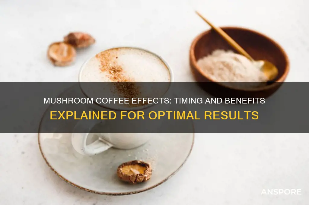 how long does it take for mushroom coffee to work