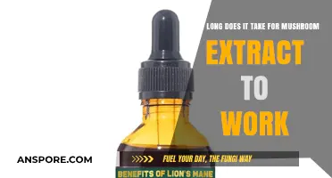 How Long Does Mushroom Extract Take to Show Effects?
