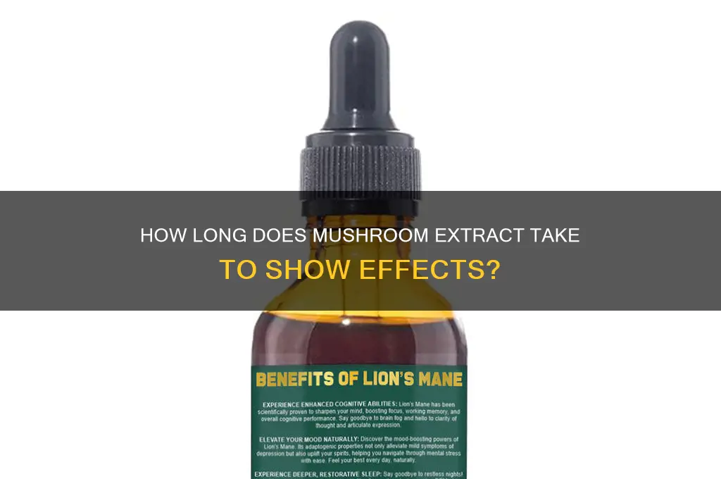 how long does it take for mushroom extract to work
