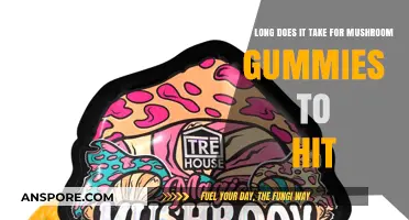 How Long Do Mushroom Gummies Take to Kick In?