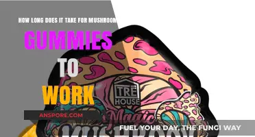 How Long Do Mushroom Gummies Take to Show Effects?