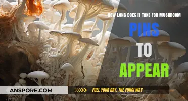 Mushroom Pins: Timelines for Growth and Appearance Explained