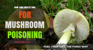 Mushroom Poisoning Timeline: Symptoms, Severity, and Treatment Duration Explained