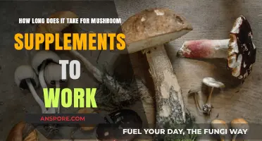 How Long Do Mushroom Supplements Take to Show Effects?