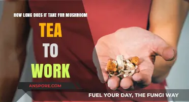 Mushroom Tea Effects: Timing and Factors Influencing Onset