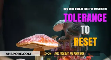 Resetting Mushroom Tolerance: Understanding the Timeline for Safe Consumption