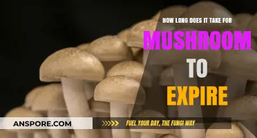 Shelf Life of Mushrooms: How Long Do They Stay Fresh?