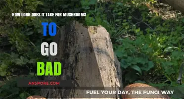 Shelf Life of Mushrooms: How Long Before They Spoil?