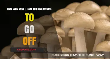 Shelf Life of Mushrooms: How Quickly Do They Spoil?