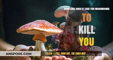 Deadly Mushrooms: Understanding the Lethal Timeline of Poisonous Varieties