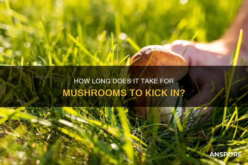 how long does it take for mushrooms to lick in
