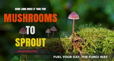 Mushroom Sprouting Timeline: Factors Affecting Growth and Emergence Speed