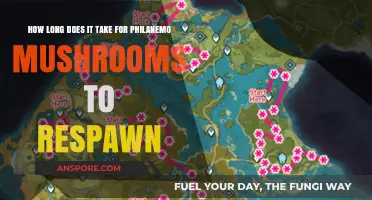 Philanemo Mushroom Respawn Time: How Long Until They Regrow?