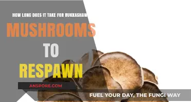 Rukkashawa Mushroom Respawn Time: How Long Until They Reappear?