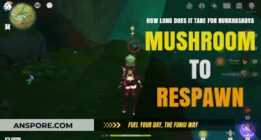 Rukkhashava Mushroom Respawn Time: A Comprehensive Guide for Foragers