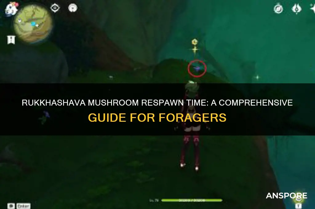 how long does it take for rukkhashava mushrooms to respawn