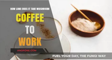 Mushroom Coffee Effects: Timing and Benefits Explained for Optimal Results
