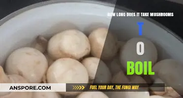 Boiling Mushrooms: Quick Tips for Perfectly Cooked Fungi