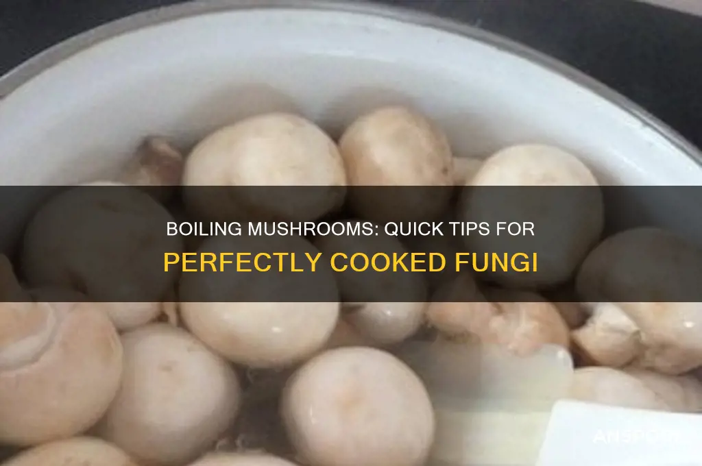 how long does it take mushrooms t o boil