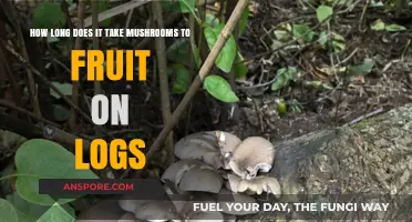 Mushroom Fruiting on Logs: Understanding the Timeframe for Optimal Growth