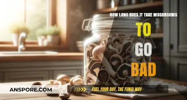 How Long Do Mushrooms Last? A Guide to Freshness and Storage