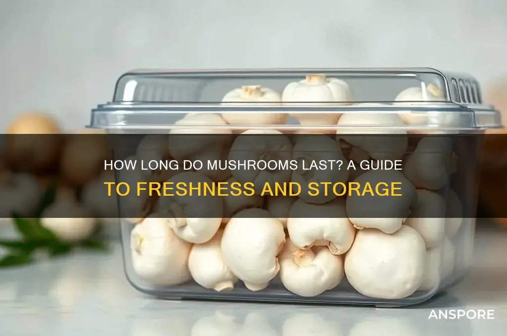 how long does it take mushrooms to go bad