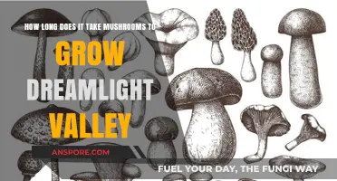 Dreamlight Valley Mushroom Growth Timeline: From Spores to Harvest