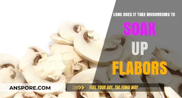 Mushroom Flavor Absorption: Time Needed for Perfect Taste Infusion