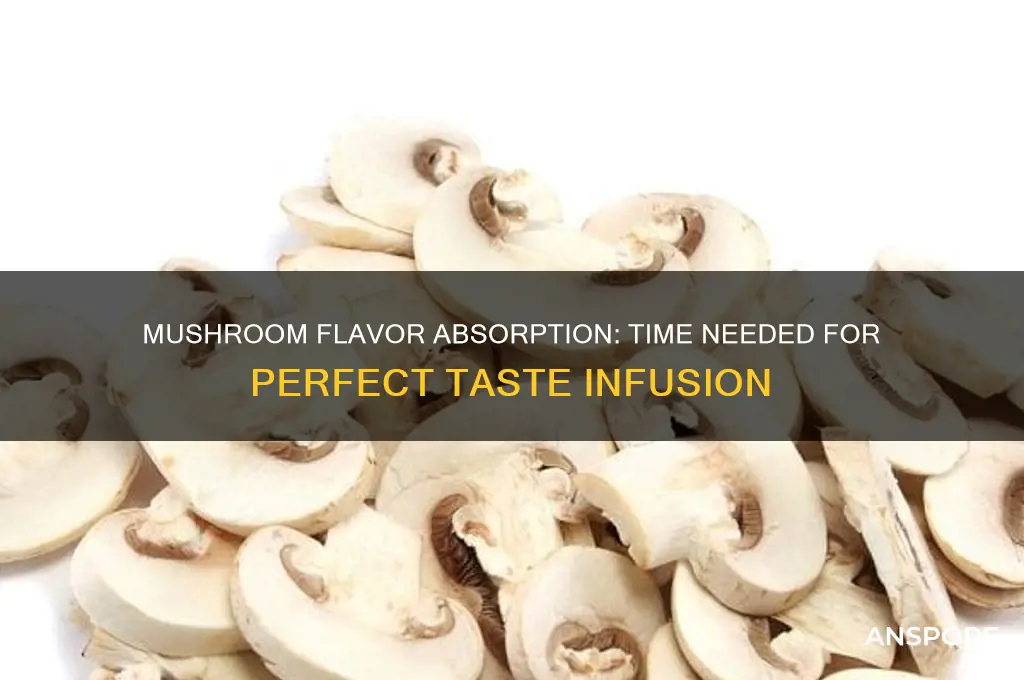 how long does it take mushrooms to soak up flabors